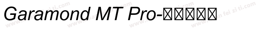 Garamond MT Pro字体转换